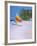 Barbados Beach II-Paul Brown-Framed Giclee Print