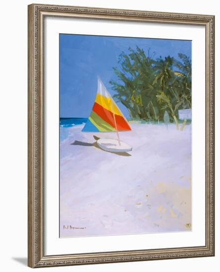 Barbados Beach II-Paul Brown-Framed Giclee Print