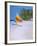 Barbados Beach II-Paul Brown-Framed Giclee Print