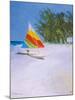 Barbados Beach II-Paul Brown-Mounted Giclee Print