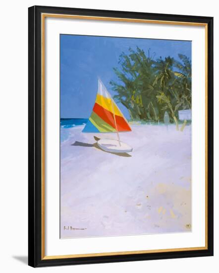 Barbados Beach II-Paul Brown-Framed Giclee Print