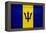 Barbados Flag Design with Wood Patterning - Flags of the World Series-Philippe Hugonnard-Framed Stretched Canvas