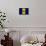 Barbados Flag Design with Wood Patterning - Flags of the World Series-Philippe Hugonnard-Framed Stretched Canvas displayed on a wall