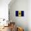 Barbados Flag Design with Wood Patterning - Flags of the World Series-Philippe Hugonnard-Premium Giclee Print displayed on a wall