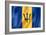 Barbados Flag-daboost-Framed Art Print