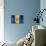 Barbados Flag-daboost-Premium Giclee Print displayed on a wall