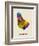 Barbados Watercolor Map-Michael Tompsett-Framed Premium Giclee Print