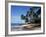 Barbados, West Indies, Caribbean, Central America-Robert Harding-Framed Photographic Print