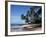 Barbados, West Indies, Caribbean, Central America-Robert Harding-Framed Photographic Print