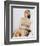 Barbara Bain - Space: 1999-null-Framed Photo