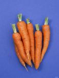 Carrots-Barbara Bonisolli-Photographic Print