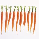 Carrots-Barbara Bonisolli-Photographic Print