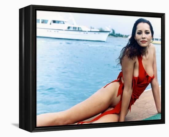 Barbara Carrera - Never Say Never Again-null-Framed Stretched Canvas