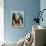 Barbara Carrera-null-Framed Stretched Canvas displayed on a wall