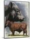 Premium Giclee Print