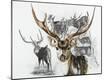 Giclee Print