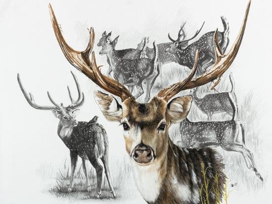 Giclee Print, , large