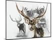 Giclee Print