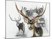 Giclee Print
