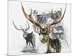 Giclee Print