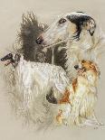 Rottweiler-Barbara Keith-Giclee Print