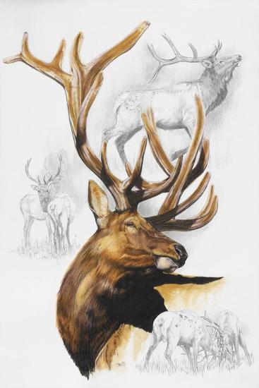 Giclee Print, , large