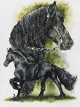 Ragdoll-Barbara Keith-Mounted Giclee Print