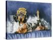 Stretched Canvas Print
