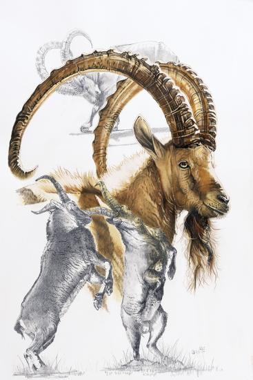 Giclee Print, , large