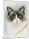 Giclee Print
