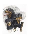 Rottweiler-Barbara Keith-Giclee Print