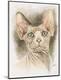 Premium Giclee Print