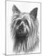 Giclee Print