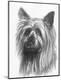 Premium Giclee Print