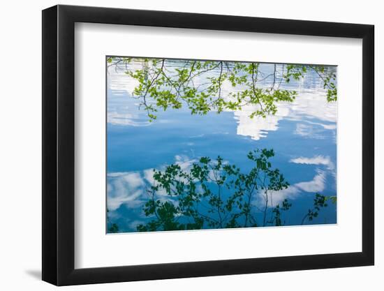 Photo, , large