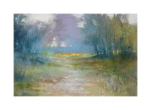 Dappled path-Barbara Newton-Framed Giclee Print