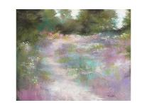 Dappled path-Barbara Newton-Framed Giclee Print