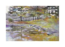 Dappled path-Barbara Newton-Framed Giclee Print