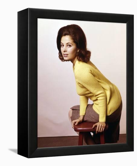 Barbara Parkins-null-Framed Stretched Canvas