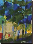 Summer Grove-Barbara Rainforth-Stretched Canvas