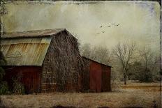 the Red Barn-Barbara Simmons-Giclee Print