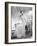 Barbara Stanwyck, 1950s-null-Framed Photo