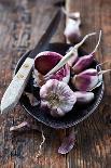 Garlic Bulbs and Cloves in a Ceramic Dish-barbaradudzinska-Laminated Photographic Print
