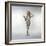 Barbarella (photo)-null-Framed Photo