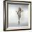 Barbarella (photo)-null-Framed Photo