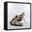 Barbarella (photo)-null-Framed Stretched Canvas