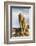 Barbary Ape on the Gunung Batur-Christoph Mohr-Framed Photographic Print