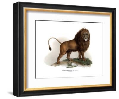 ainsborough - Lion Picture Framing Supplies Ltd