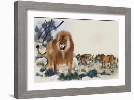 Barbary Lions-Maurice Wilson-Framed Giclee Print