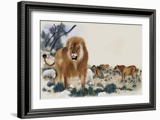 Barbary Lions-Maurice Wilson-Framed Giclee Print